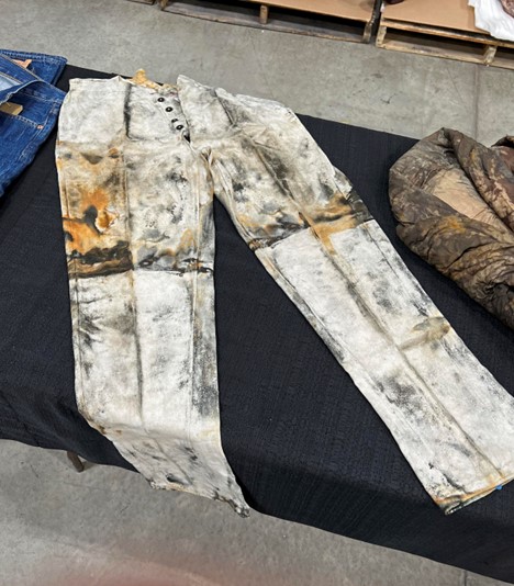 Lost and Found at Sea: The Extraordinary Story of the Shipwrecked Jeans